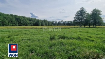 Grunt siedliskowy na  sprzedaż Krzywczyce - działki przy lesie